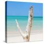 Cuba Fuerte Collection SQ - Alone on the Beach-Philippe Hugonnard-Stretched Canvas