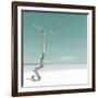 Cuba Fuerte Collection SQ - Alone on the White Sandy Beach - Pastel Green-Philippe Hugonnard-Framed Photographic Print