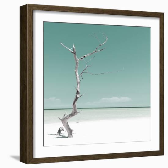 Cuba Fuerte Collection SQ - Alone on the White Sandy Beach - Pastel Green-Philippe Hugonnard-Framed Photographic Print