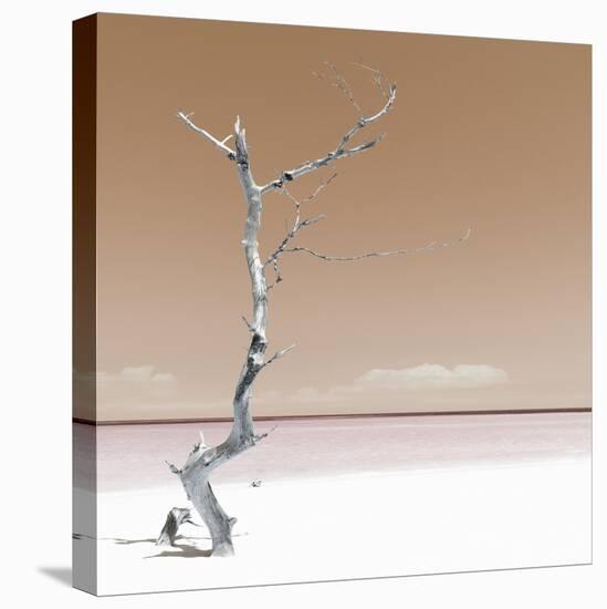 Cuba Fuerte Collection SQ - Alone on the White Sandy Beach - Pastel Orange-Philippe Hugonnard-Stretched Canvas