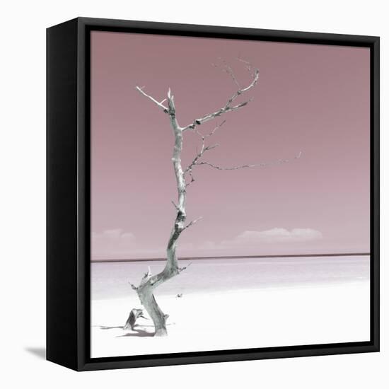 Cuba Fuerte Collection SQ - Alone on the White Sandy Beach - Pastel Red-Philippe Hugonnard-Framed Stretched Canvas