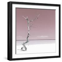 Cuba Fuerte Collection SQ - Alone on the White Sandy Beach - Pastel Red-Philippe Hugonnard-Framed Photographic Print