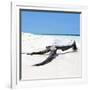 Cuba Fuerte Collection SQ - Black Tree on the Beach-Philippe Hugonnard-Framed Photographic Print