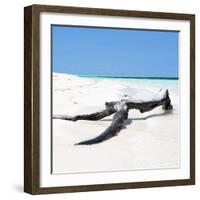 Cuba Fuerte Collection SQ - Black Tree on the Beach-Philippe Hugonnard-Framed Photographic Print