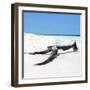 Cuba Fuerte Collection SQ - Black Tree on the Beach-Philippe Hugonnard-Framed Photographic Print