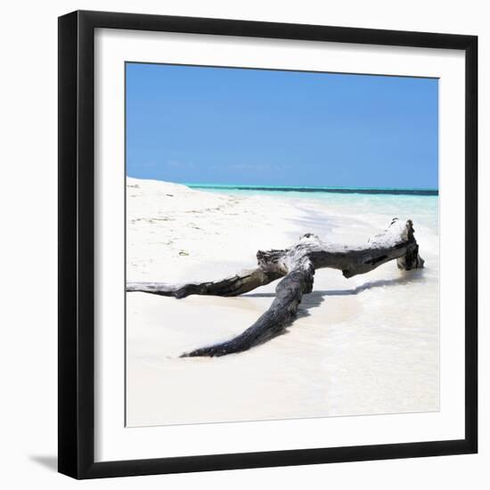 Cuba Fuerte Collection SQ - Black Tree on the Beach-Philippe Hugonnard-Framed Photographic Print