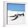 Cuba Fuerte Collection SQ - Black Tree on the Beach-Philippe Hugonnard-Framed Photographic Print