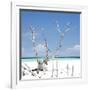 Cuba Fuerte Collection SQ - Blue Serenity-Philippe Hugonnard-Framed Photographic Print