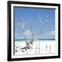 Cuba Fuerte Collection SQ - Blue Serenity-Philippe Hugonnard-Framed Photographic Print