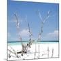 Cuba Fuerte Collection SQ - Blue Serenity-Philippe Hugonnard-Mounted Photographic Print