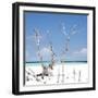 Cuba Fuerte Collection SQ - Blue Serenity-Philippe Hugonnard-Framed Photographic Print