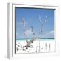 Cuba Fuerte Collection SQ - Blue Serenity-Philippe Hugonnard-Framed Photographic Print