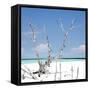 Cuba Fuerte Collection SQ - Blue Serenity-Philippe Hugonnard-Framed Stretched Canvas