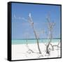 Cuba Fuerte Collection SQ - Blue Stillness-Philippe Hugonnard-Framed Stretched Canvas