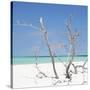 Cuba Fuerte Collection SQ - Blue Stillness-Philippe Hugonnard-Stretched Canvas