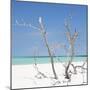 Cuba Fuerte Collection SQ - Blue Stillness-Philippe Hugonnard-Mounted Photographic Print