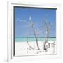 Cuba Fuerte Collection SQ - Blue Stillness-Philippe Hugonnard-Framed Photographic Print