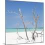 Cuba Fuerte Collection SQ - Blue Stillness-Philippe Hugonnard-Mounted Photographic Print