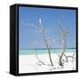 Cuba Fuerte Collection SQ - Blue Stillness-Philippe Hugonnard-Framed Stretched Canvas