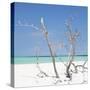 Cuba Fuerte Collection SQ - Blue Stillness-Philippe Hugonnard-Stretched Canvas