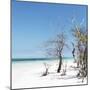 Cuba Fuerte Collection SQ - Blue Summer-Philippe Hugonnard-Mounted Photographic Print