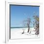 Cuba Fuerte Collection SQ - Blue Summer-Philippe Hugonnard-Framed Photographic Print