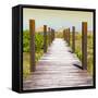 Cuba Fuerte Collection SQ - Boardwalk on the Beach at Sunset-Philippe Hugonnard-Framed Stretched Canvas