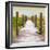 Cuba Fuerte Collection SQ - Boardwalk on the Beach at Sunset-Philippe Hugonnard-Framed Photographic Print