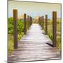 Cuba Fuerte Collection SQ - Boardwalk on the Beach at Sunset-Philippe Hugonnard-Mounted Photographic Print