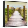 Cuba Fuerte Collection SQ - Boardwalk on the Beach at Sunset-Philippe Hugonnard-Framed Stretched Canvas