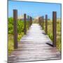 Cuba Fuerte Collection SQ - Boardwalk on the Beach-Philippe Hugonnard-Mounted Photographic Print