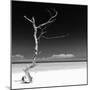 Cuba Fuerte Collection SQ BW - Alone on the White Sandy Beach-Philippe Hugonnard-Mounted Photographic Print