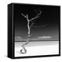 Cuba Fuerte Collection SQ BW - Alone on the White Sandy Beach-Philippe Hugonnard-Framed Stretched Canvas