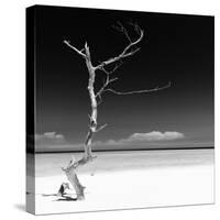 Cuba Fuerte Collection SQ BW - Alone on the White Sandy Beach-Philippe Hugonnard-Stretched Canvas