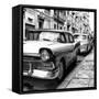 Cuba Fuerte Collection SQ BW - Beautiful American Cars in Havana II-Philippe Hugonnard-Framed Stretched Canvas