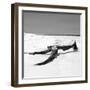 Cuba Fuerte Collection SQ BW - Black Tree on the Beach-Philippe Hugonnard-Framed Photographic Print