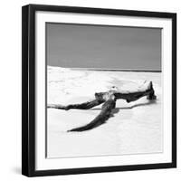 Cuba Fuerte Collection SQ BW - Black Tree on the Beach-Philippe Hugonnard-Framed Photographic Print