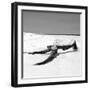 Cuba Fuerte Collection SQ BW - Black Tree on the Beach-Philippe Hugonnard-Framed Photographic Print