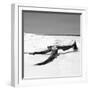 Cuba Fuerte Collection SQ BW - Black Tree on the Beach-Philippe Hugonnard-Framed Photographic Print