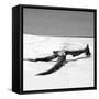 Cuba Fuerte Collection SQ BW - Black Tree on the Beach-Philippe Hugonnard-Framed Stretched Canvas