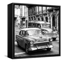 Cuba Fuerte Collection SQ BW BW - Taxi Cars Havana-Philippe Hugonnard-Framed Stretched Canvas