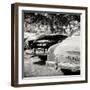 Cuba Fuerte Collection SQ BW - Havana Vintage Classic Cars-Philippe Hugonnard-Framed Photographic Print