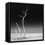 Cuba Fuerte Collection SQ BW - Ocean Nature-Philippe Hugonnard-Framed Stretched Canvas