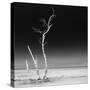 Cuba Fuerte Collection SQ BW - Ocean Nature-Philippe Hugonnard-Stretched Canvas