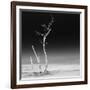 Cuba Fuerte Collection SQ BW - Ocean Nature-Philippe Hugonnard-Framed Photographic Print