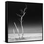 Cuba Fuerte Collection SQ BW - Ocean Nature-Philippe Hugonnard-Framed Stretched Canvas