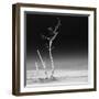 Cuba Fuerte Collection SQ BW - Ocean Nature-Philippe Hugonnard-Framed Photographic Print