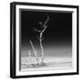 Cuba Fuerte Collection SQ BW - Ocean Nature-Philippe Hugonnard-Framed Photographic Print