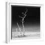 Cuba Fuerte Collection SQ BW - Ocean Nature-Philippe Hugonnard-Framed Photographic Print