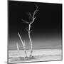 Cuba Fuerte Collection SQ BW - Ocean Nature-Philippe Hugonnard-Mounted Photographic Print